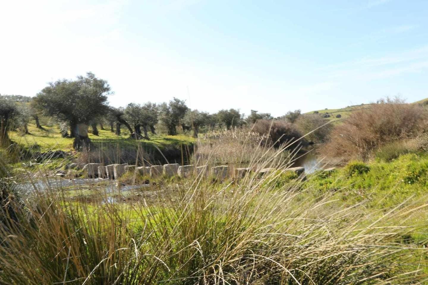 El Olivar Agloipe Ahigal Trcc Εξωτερικό φωτογραφία