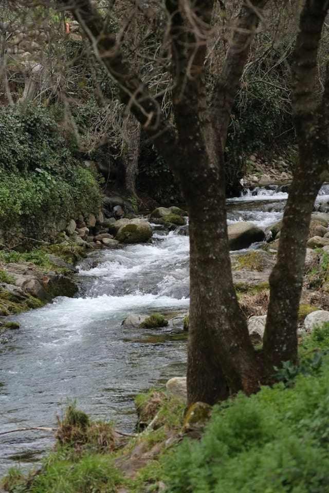 El Olivar Agloipe Ahigal Trcc Εξωτερικό φωτογραφία